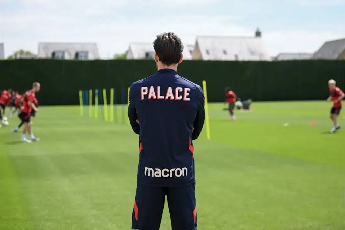 SELHURST SHOWDOWN: Crystal Palace Must BEAT Fulham to Land ‘Top’ Glasner Successor as Cottagers Join Race for Iraola